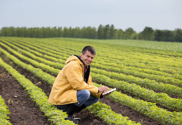 junge hübsche Bäuerin mit Tablette, die im Frühjahr auf einem Sojabohnenfeld hockt. Agrarwirtschaft und Innovationskonzept - Foto, Bild