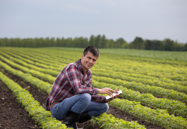 Joven granjero guapo con la tableta en cuclillas en el campo de soja en primavera. Concepto de innovación agroindustrial
 - Foto, imagen