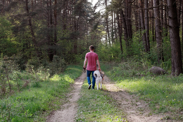 Homme caucasien promenant un chien dans la forêt d'été, vue de dos
 - Photo, image