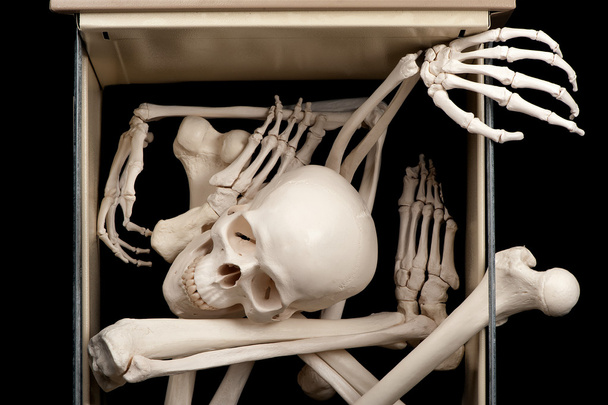 skelet in lade - Foto, afbeelding