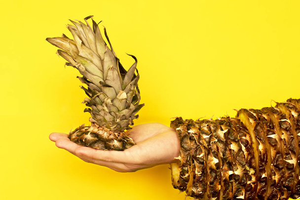 Ananas alkuun lehdet kädessä ja loput ihosta
  - Valokuva, kuva