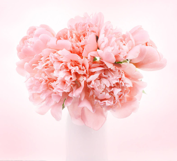 Rózsaszín bazsarózsa virágok háttér - Fotó, kép