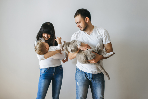 portrait of happy parents holding little toddler boy and grey cat at home - Photo, Image