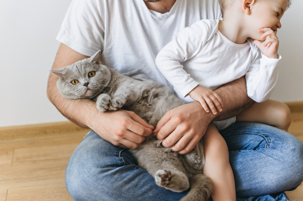 Μερική άποψη του ανθρώπου που αγκαλιάζει λίγο χαμογελαστός ο γιος και γκρι γάτα στο σπίτι - Φωτογραφία, εικόνα