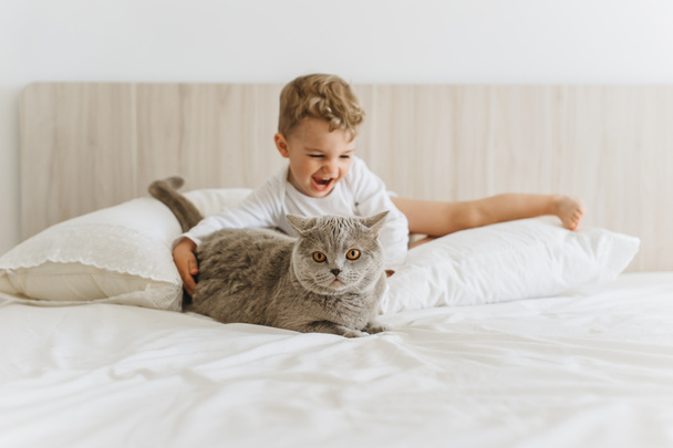 happy little child playing with grey british shorthair on bed at home - Foto, Bild