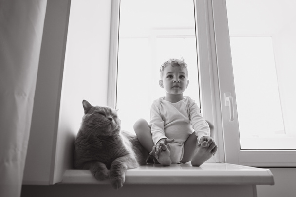 black and white photo of cute little child with grey british shorthair cat sitting on windowsill at home - 写真・画像