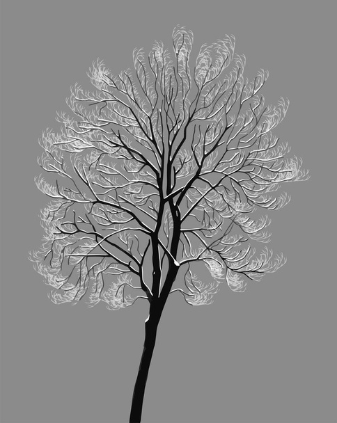 Дерево с заснеженными ветвями
 - Вектор,изображение