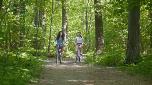 Passeggiata in bicicletta nel parco due ciclisti famale, giornata di sole, vista frontale
 - Filmati, video