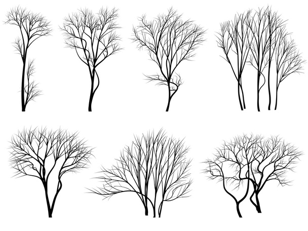 silhouetten van de bomen zonder bladeren. - Vector, afbeelding