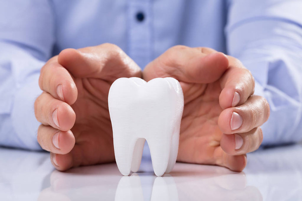 Мужская рука защищает здоровый белый зуб гигиены на отражающем столе
 - Фото, изображение