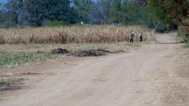 Tired Farmers Walking Away from Their Dry Crops on a Hot Day in Tequila Mexico - Felvétel, videó
