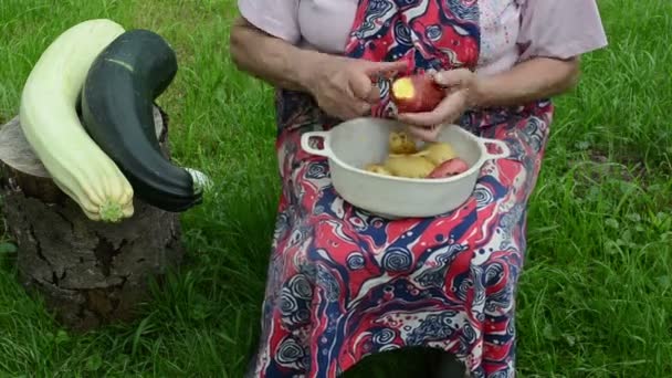 χέρι φλούδες πατάτας κολοκυθάκια - Πλάνα, βίντεο