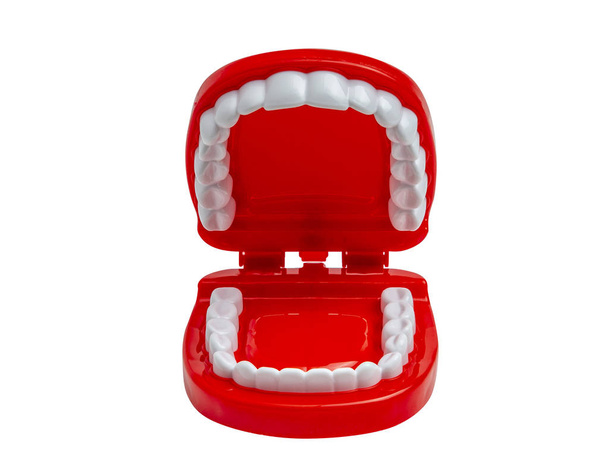 Menschliches Spielzeug Zähne auf dem Hintergrund, Kiefer offen. - Foto, Bild