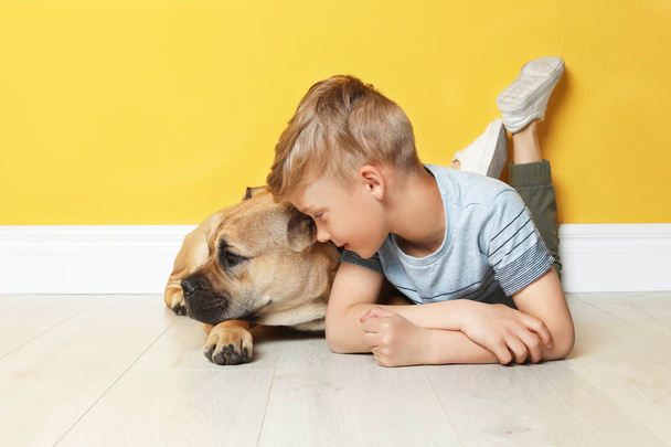 Cute little child with his dog near color wall - Фото, зображення