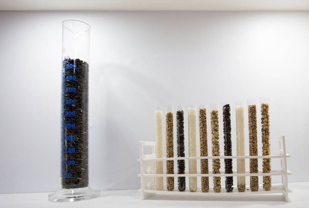 Test tüpleri kürsüye düzenlenmiş farklı tahıl tohumları ile. Biyoteknoloji kavramı - Fotoğraf, Görsel