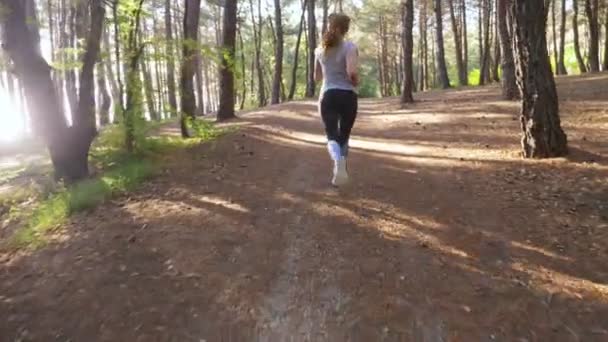 Kobieta ucieka na szlak w lesie słoneczne lato. motywacji do aktywności sportowej, na zewnątrz, szkolenia i ćwiczeń w pięknej przyrody. Słoneczny blask, zwolnionym tempie 4k, steadicam strzał - Materiał filmowy, wideo