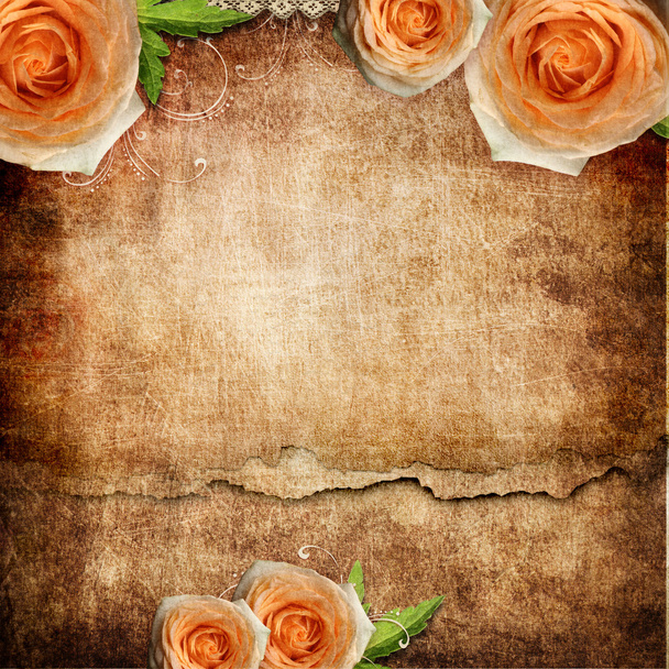 vintage romantic background with roses - Fotoğraf, Görsel