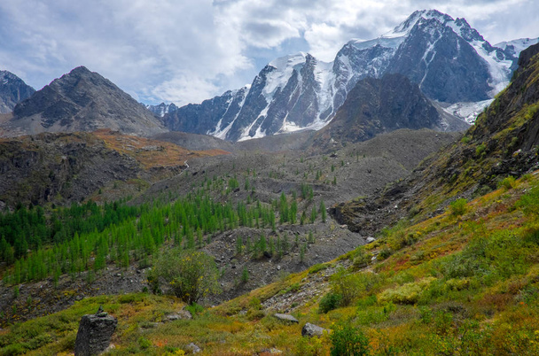 Mountain landscape in the Republic of Altai. - Fotoğraf, Görsel