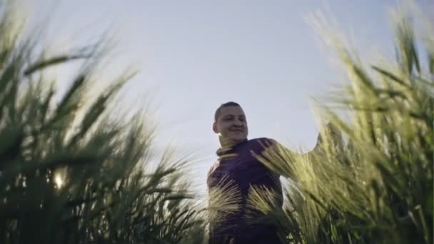 Portrait of young farmer in a field examining wheat crop - slow motion. - Záběry, video