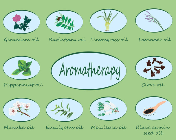Set von ätherischen Ölen Vektor Illustration Aromatherapie - Vektor, Bild