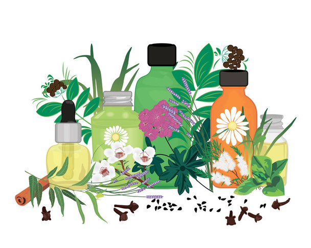 Conjunto de aceites esenciales vector ilustración Aromaterapia
 - Vector, Imagen