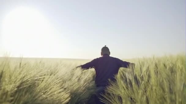 Adorable men touching green ears of wheat on field - slow motion. - Záběry, video