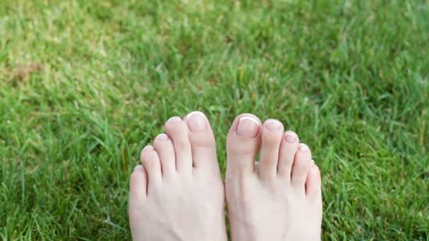 Bir çayırda yeşil çimenlerin üzerinde bir kadının bacakları. HD video - Video, Çekim