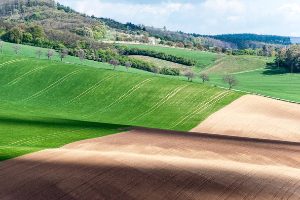 異なる色の波状圧延風景は、春にモラヴィア州の田園地帯をテクスチャしました。チェコ共和国。抽象的な背景やパターンに適しています。鮮やかな色とりどりの屋外水平方向の画像 - 写真・画像