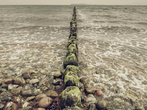 Eski ahşap kazık satırı dalgakıran önünde taşlı plaja, Baltık Denizi tipik olarak - Fotoğraf, Görsel