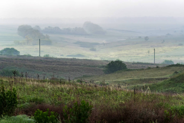 Niebla verano estepa paisaje
 - Foto, Imagen