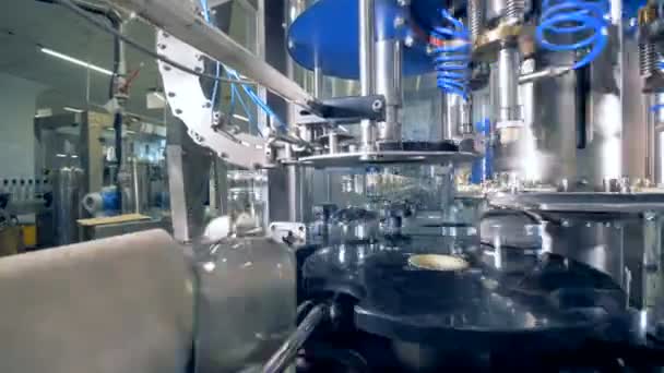 Bottles with alcohol on an assembly line. - Footage, Video