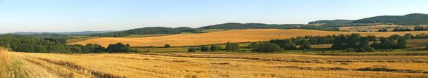Altın buğday alan panorama günbatımı, kırsal kırsal Bohemya'da - Fotoğraf, Görsel