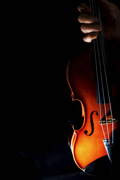 A female hand holding the violin - Fotó, kép