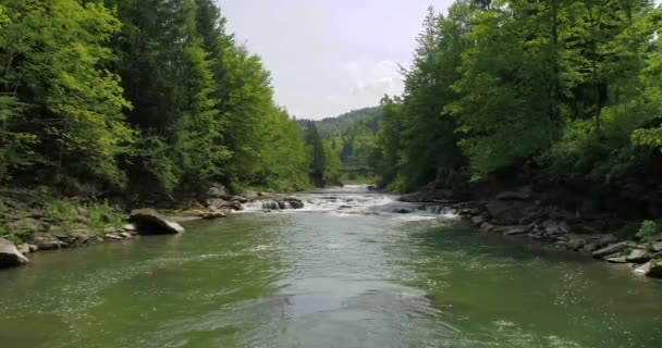 Aerial view of mountain river in summer. - Footage, Video