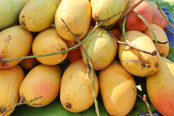 Kypsä mango katuruoassa
 - Valokuva, kuva
