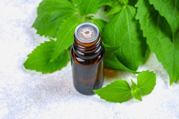 Листя свіжої зеленої кропиви і маленька пляшка олії медичної кропиви на сірому бетонному столі
 - Фото, зображення
