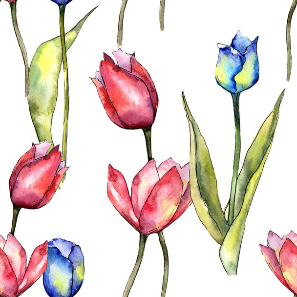 Colorful tulip. Floral botanical flower. Seamless background pattern. Fabric wallpaper print texture. Aquarelle wildflower for background, texture, wrapper pattern, frame or border. - Photo, Image