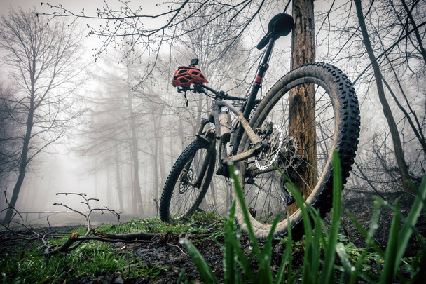 Bicicleta de montaña y casco en bosques de otoño. MTB bicicleta y casco descansando en el árbol en el bosque. Concepto de ciclismo extremo y aventura, motivación deportiva e inspiración
. - Foto, imagen