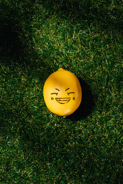 elevated view of lemon with drawing smiling face on green lawn  - Fotó, kép