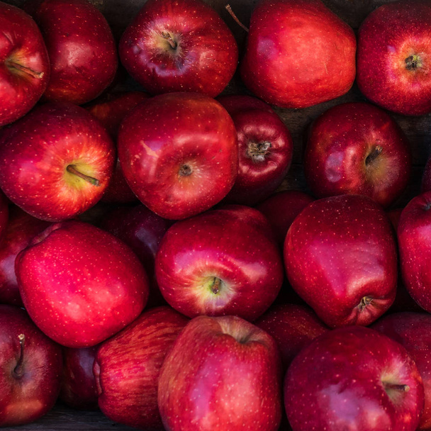 新鮮な赤いリンゴの背景。秋の収穫のコンセプトです。トップ ビュー - 写真・画像