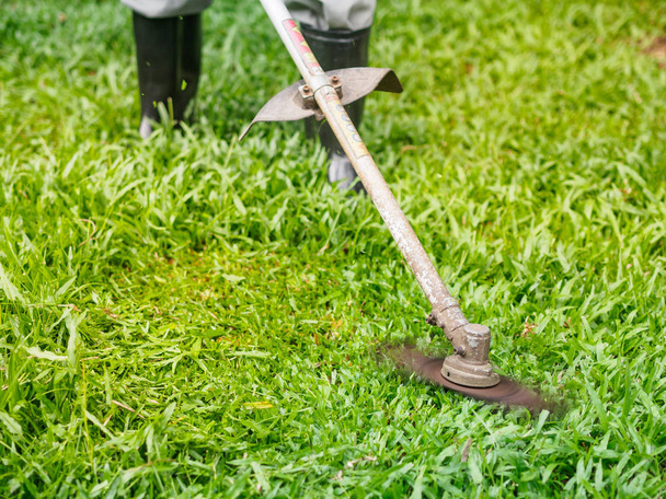 Close up the man mowing the grass. Gardening concept. - Photo, Image