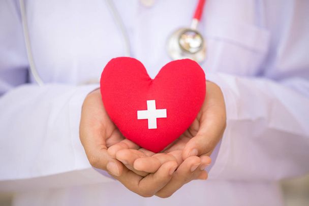 Всемирный день донора крови, 14 июня. Руки доктора держат красное сердце с донорским знаком. Здравоохранение и медицина
. - Фото, изображение