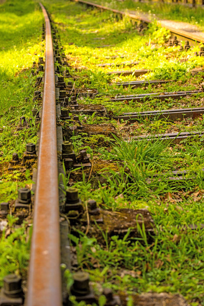 rails recouverts d'herbe verte
 - Photo, image