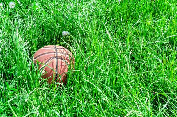 Rode basketbal op groen gras - Foto, afbeelding