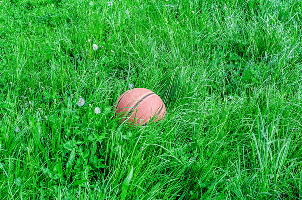 Red basketball on green grass - Photo, Image