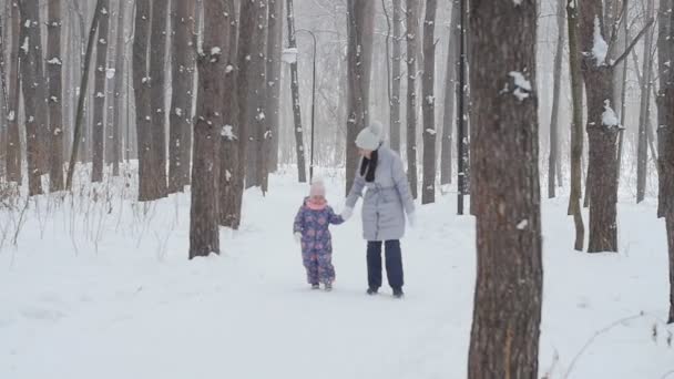 Μητέρα και κόρη με τα πόδια στο χιονισμένο δάσος ή πάρκο - Πλάνα, βίντεο