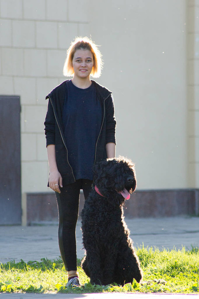 Joven famale está con su perro en la hierba verde, en el fondo del edificio en el Parque
 - Foto, imagen