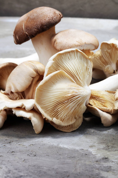 variety of raw mushrooms on grey table. oyster and other fresh mushrooms. - Photo, Image