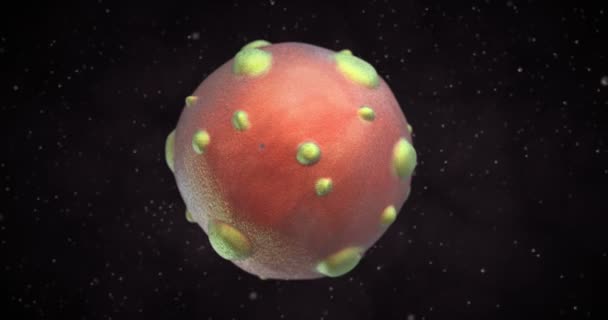 3D Animation eines Hantavirus-Virus - Filmmaterial, Video