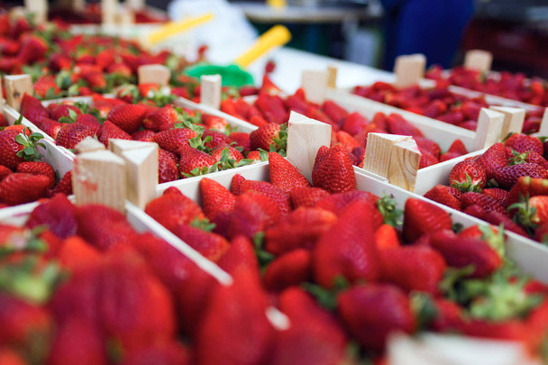 Close-up of strawberries trays in the street market. - Fotó, kép